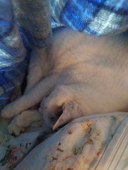 20250114175312-f2b82f9d